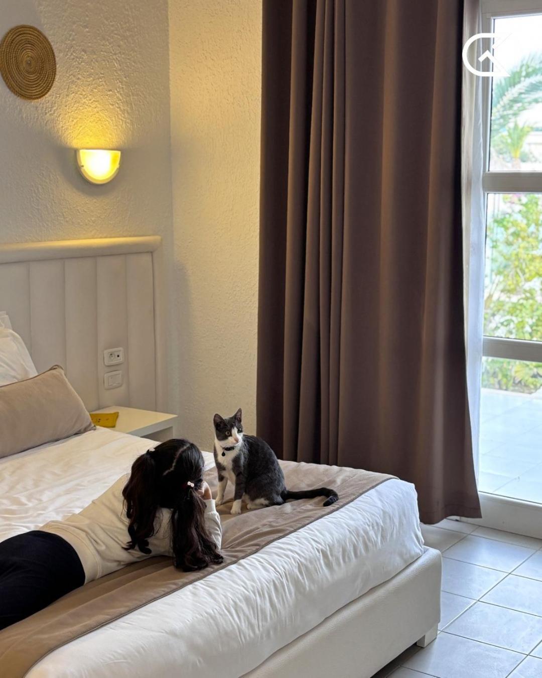מלון Golden Tulip President האממט מראה חיצוני תמונה